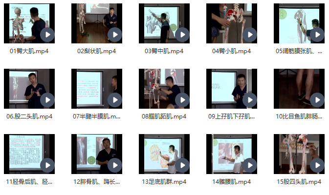 丁赵运动功能解剖课程培训视频百度网盘下载