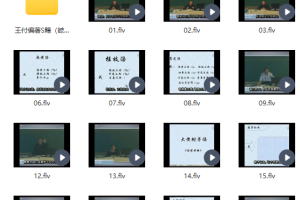 王付中医方剂学教学视频 方剂学：王付-南京中医药大学（全92集·完整版）王付编著中医书籍