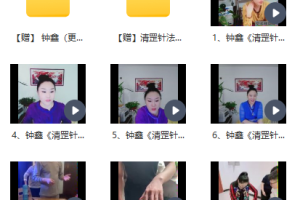 钟鑫清罡针法视频 钟鑫老师针灸视频全集下载百度云资源 钟鑫老师清罡针法针治中风腿脚不利索教学视频