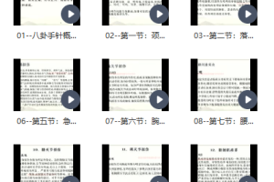 杨思坤手针怎么样 杨思坤八卦手针视频大全 杨思坤医学视频课程