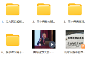 王宁元经方班伤寒派腹诊临床应用解说腹诊讲课系列课程