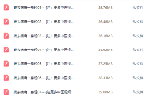 赵吉平 拔罐 拔去病毒一身轻视频百度云下载免费